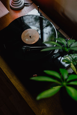 vinyl collection with leaf foreground