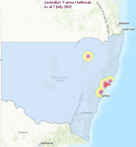 Map of Australia's varroa outbreak