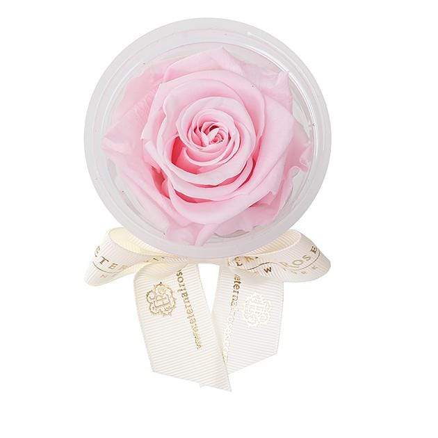 Eternal Roses Luxury Scented Petals Small