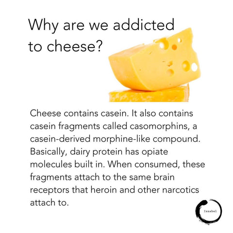 Why Are We Addicted To Cheese?