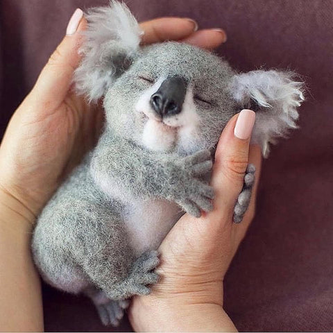 mini baby panda australia animal love