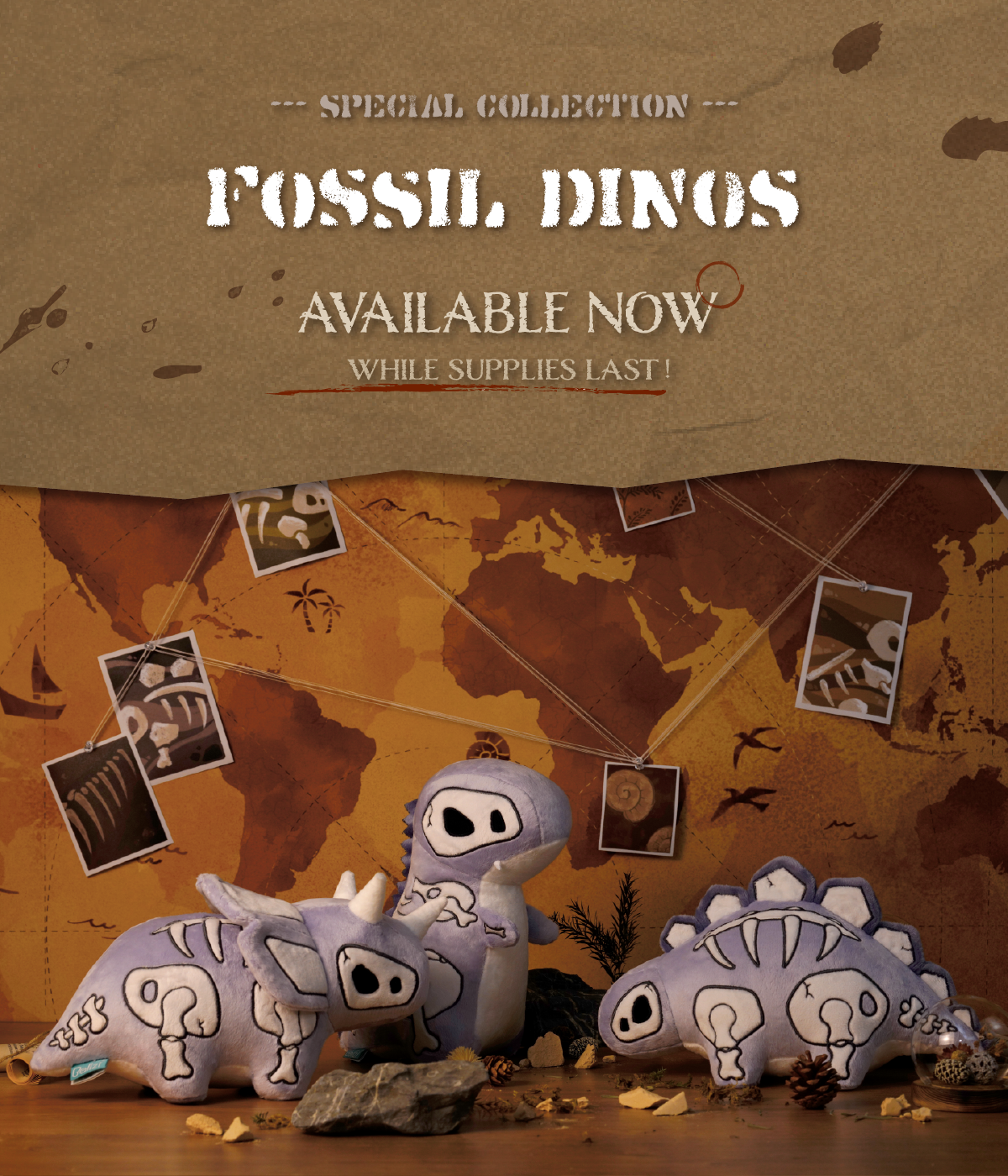 [2024]02.22_Fossil_Launch_Email_-1.png__PID:65a76358-e71d-4ec5-970d-3b427f104439
