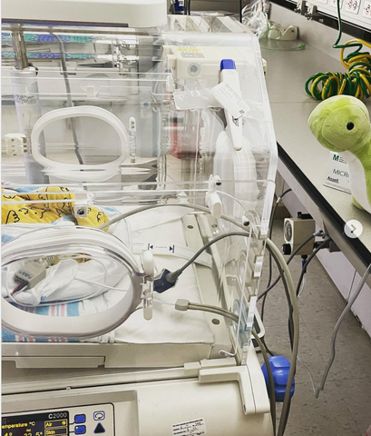 baby in incubator with stuffed animal