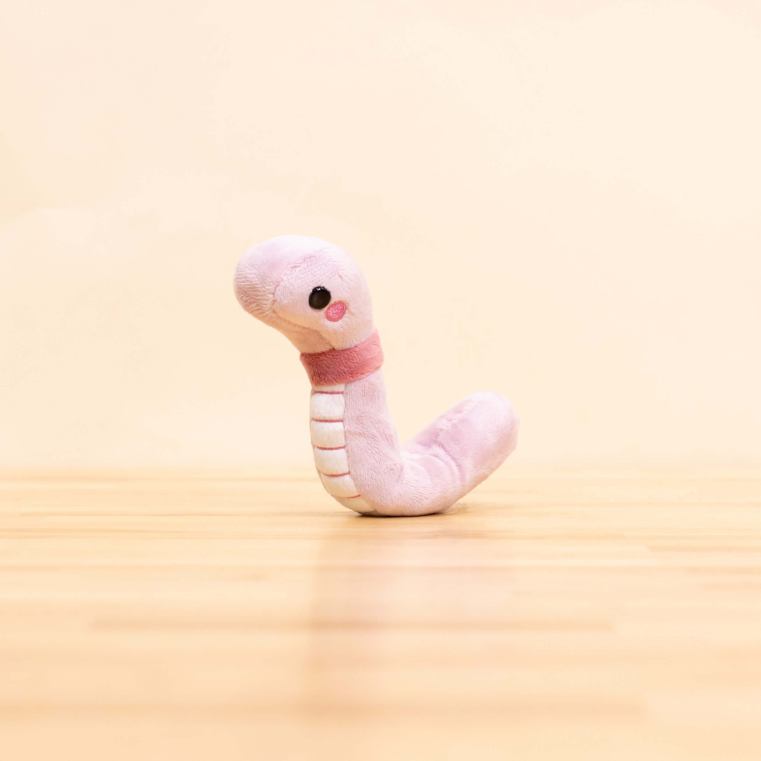 Mini Wormi the Worm