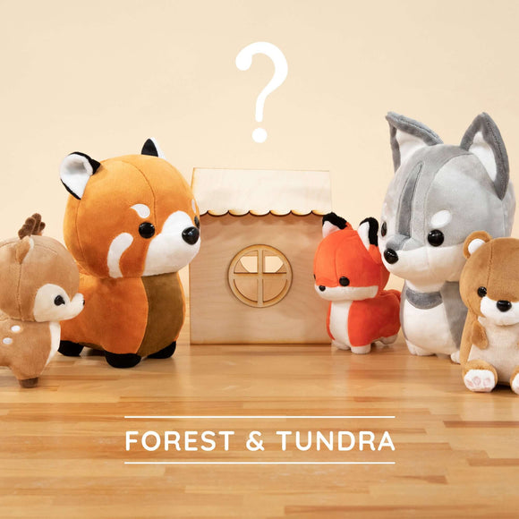 https://cdn.shopify.com/s/files/1/0029/2801/7443/products/MysteryBag_Forest_Tundra-sw.jpg?v=1658216706&width=580