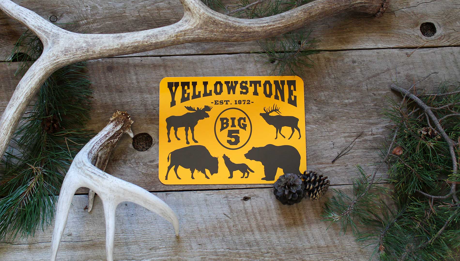 metal wildlife signs