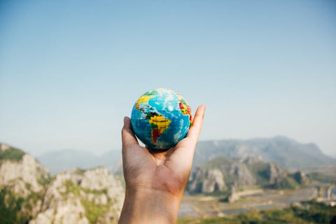 person holding world globe