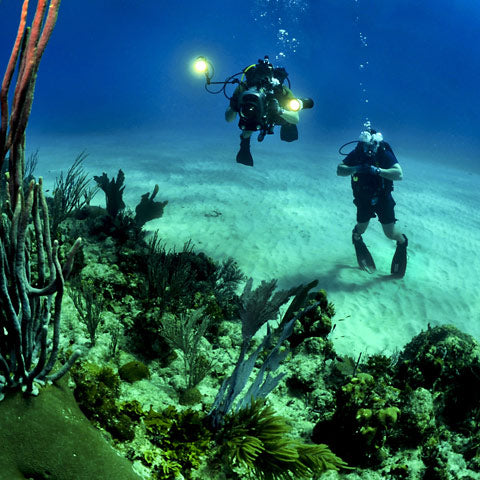 divers using their scuba equimpent