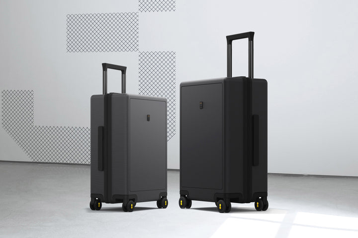 Check in Suitcases products