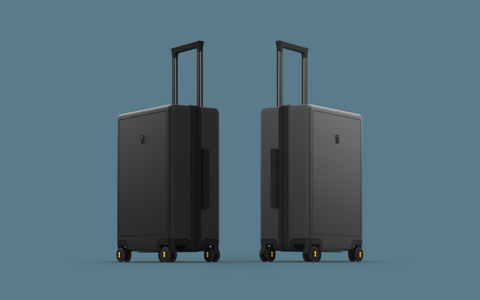 Elegance Luggage