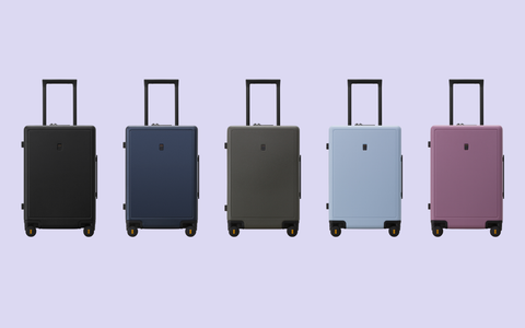 Elegance luggage