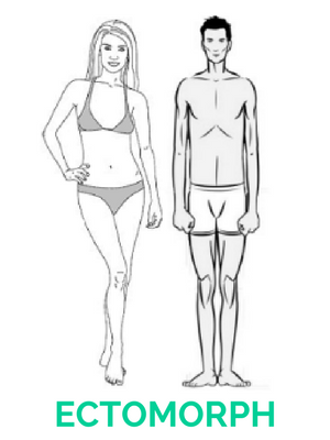 Ectomorph Body Type | Nourish Meals by Wilde Kitchen 