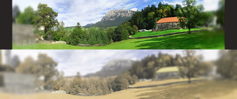  two landscapes in panoramic view for comparative human and cat vision 