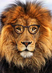 lion wearing psir wooden glasses