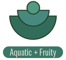 Fragrance Family - Aquatic + Fruity | P.F. Candle Co. EU