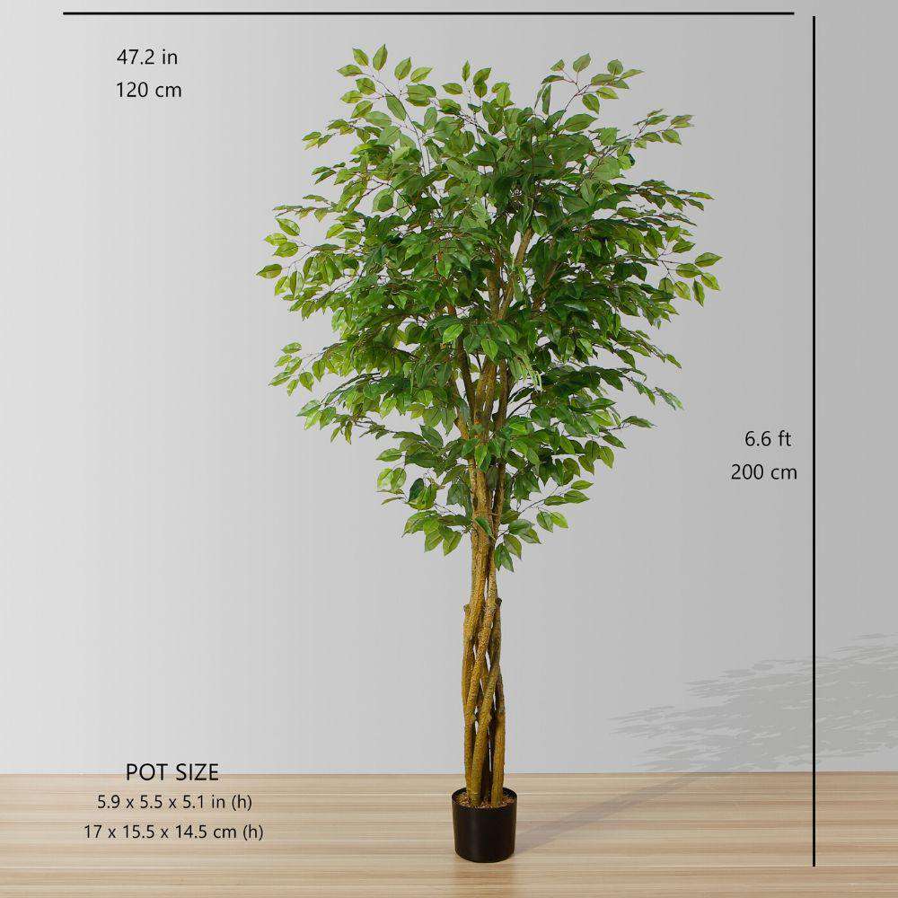 Planta Artificial Ficus Benjamina 180 cm. Premium 1.260 hojas