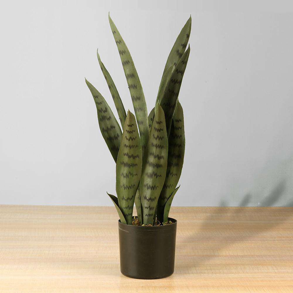 Artificial Snake Plant With Century Plant Stand - Sansevieria