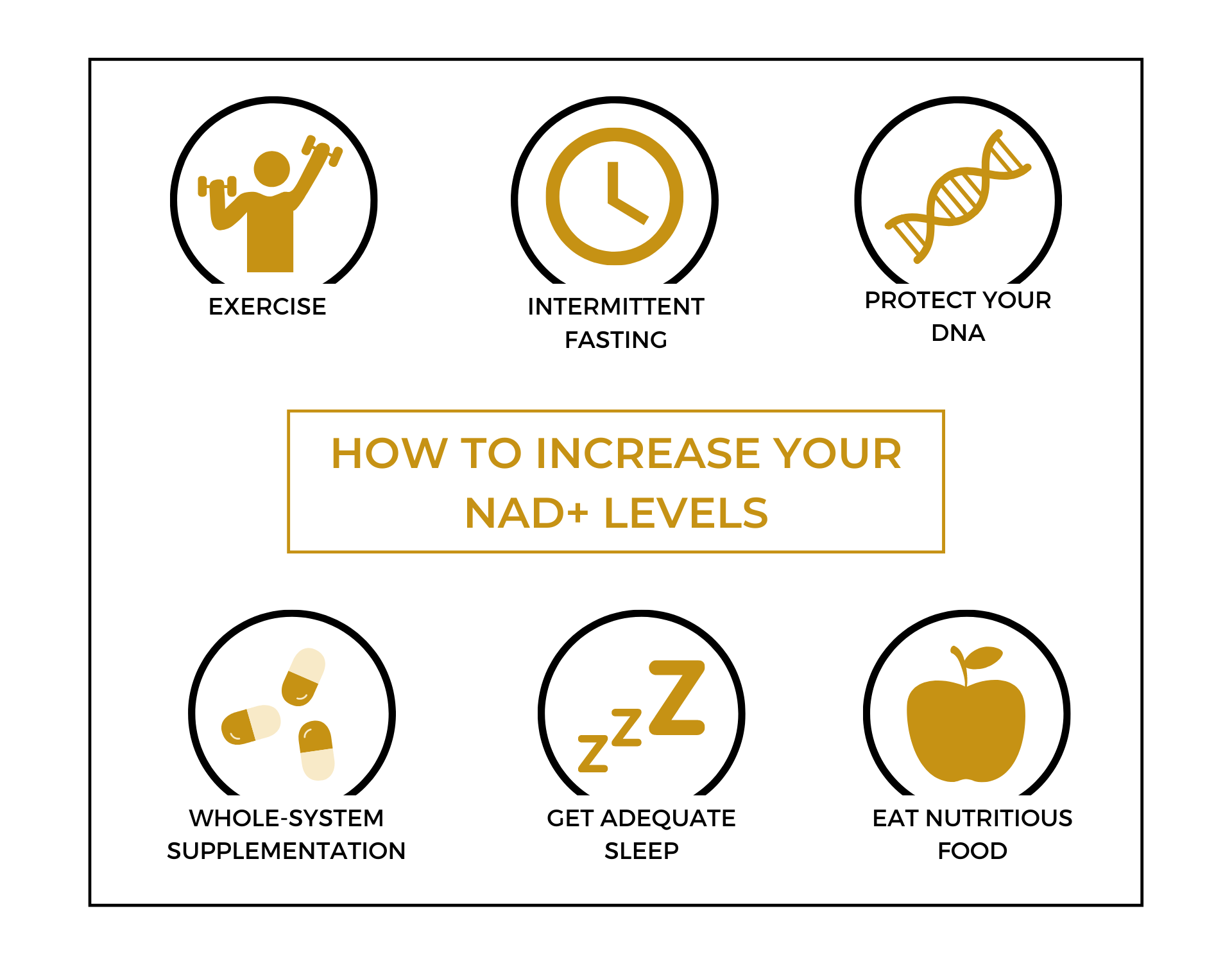 How to boost NAD+ levels