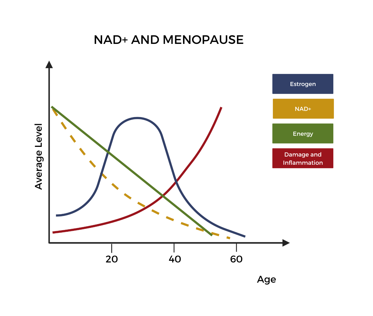 NAD+ in women's Health – Nuchido