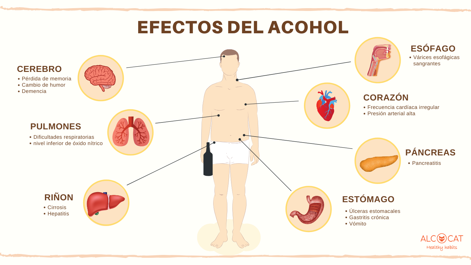 Consumo De Alcohol At Emaze Presentation 9556