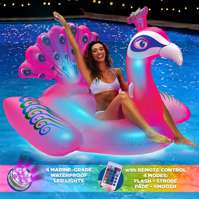 lighted pool floats