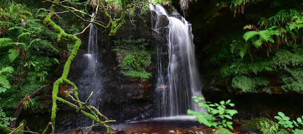 Glenashdale Falls on the Isle of Arran
