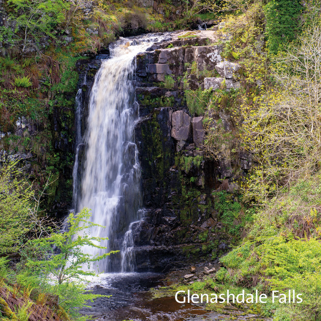 2L Glenashdale Shampoo Refill