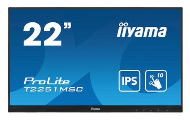 IIYAMA 22