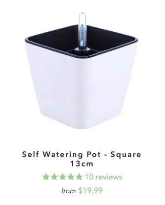MaxiCube self watering Pot square cube