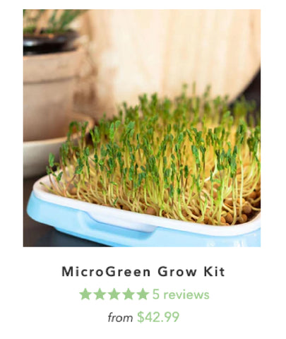 Microgreens grow kit product image