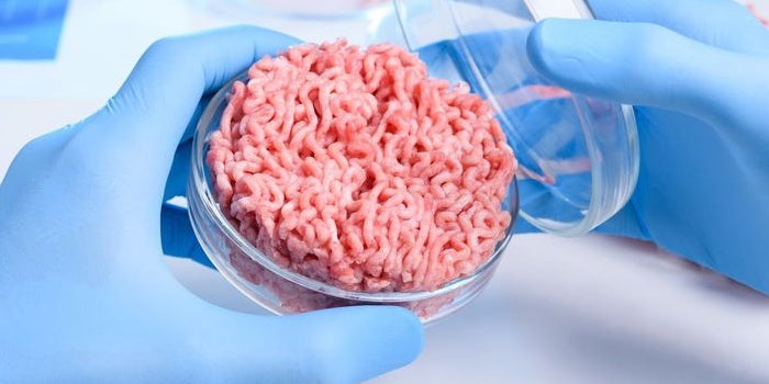 lab-grown-meat-could-be-a-solution-to-feeding-ten-billion-people-in-2050-urban-plant-growers