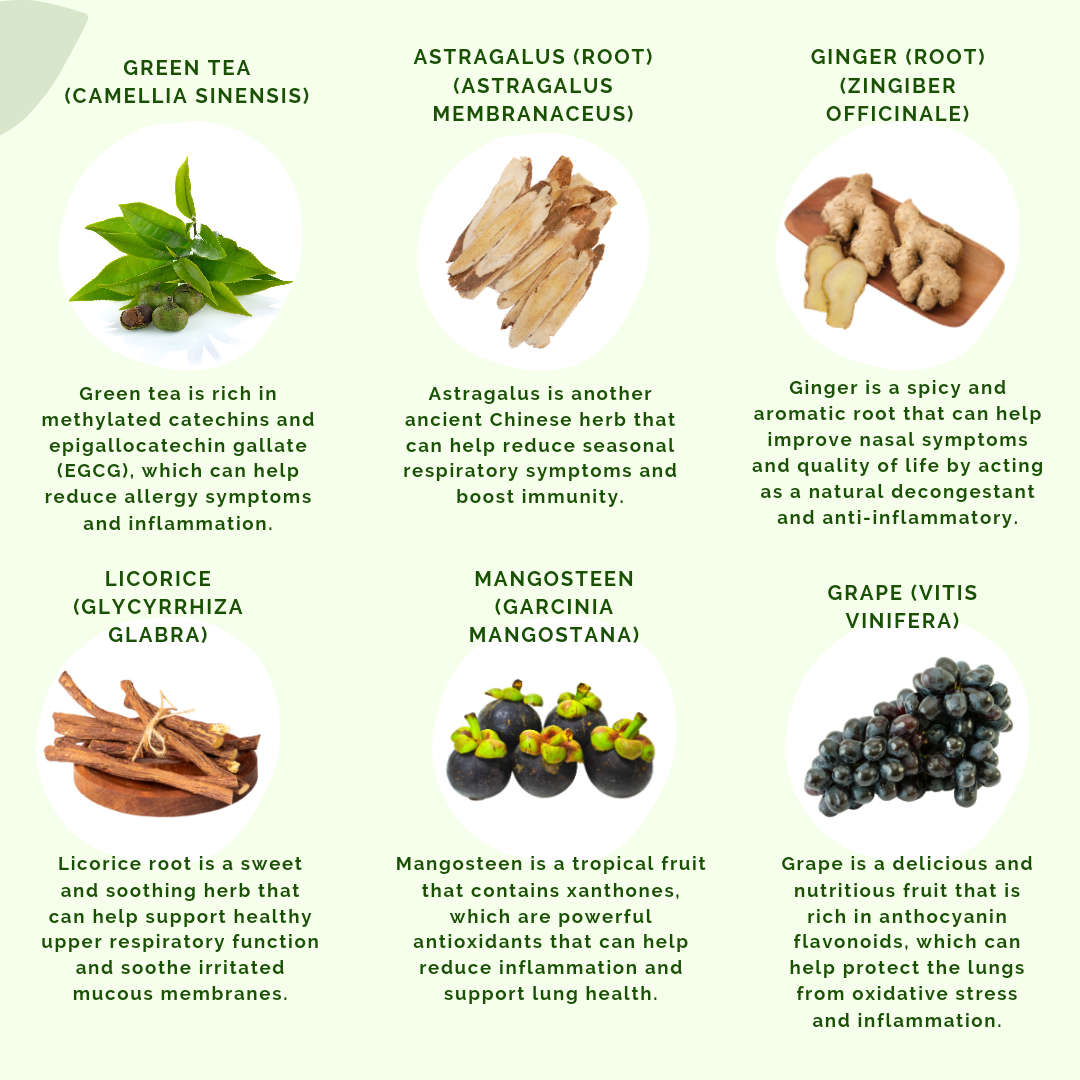 Some of the main ingredients for ALT by APLGO.  This includes Green Tea, Astragalus Root, Ginger Root, Licorice Root, Mangosteen and Grape.