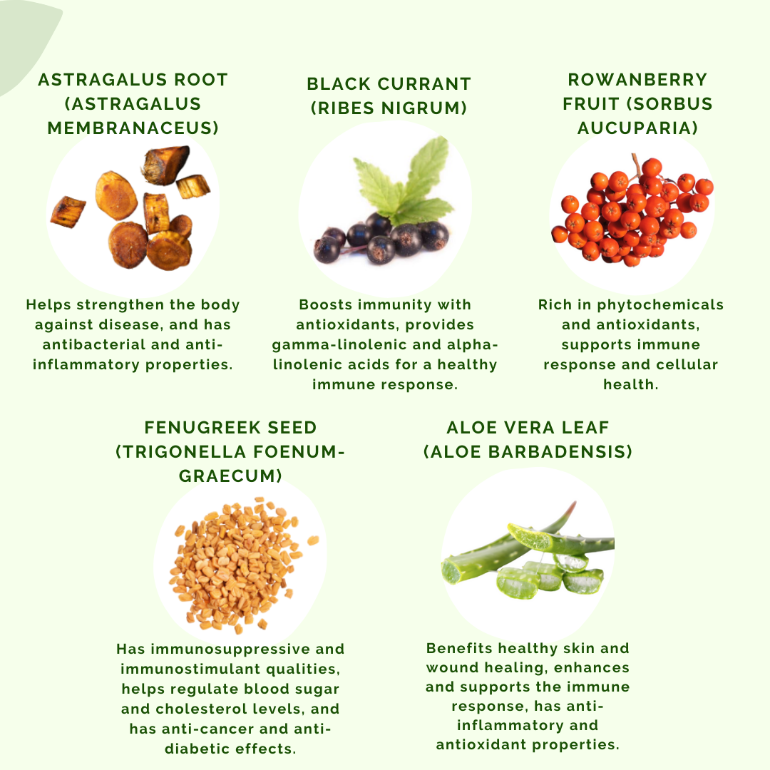 Some ingredients for GRW by APLGO.  These include Astragalus Root, Black Currant, Rowanberry, Fenugreek Seed and Aloe Vera Leaf
