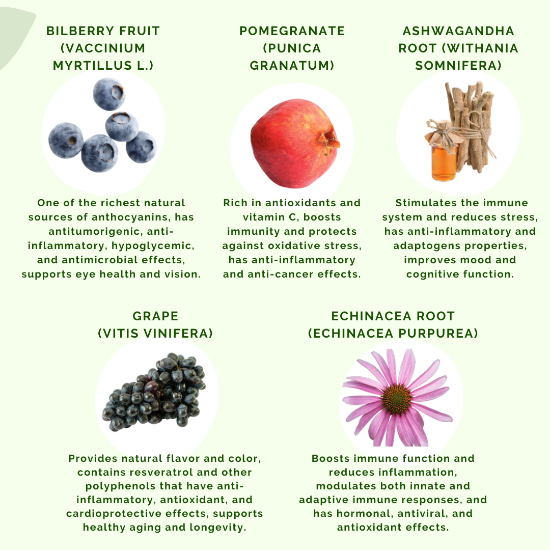 Some more ingredients of GRW by APLGO. These include Bilberry Fruit, Pomegranate, Ashwagandha Root, Grape and Echinacea Root