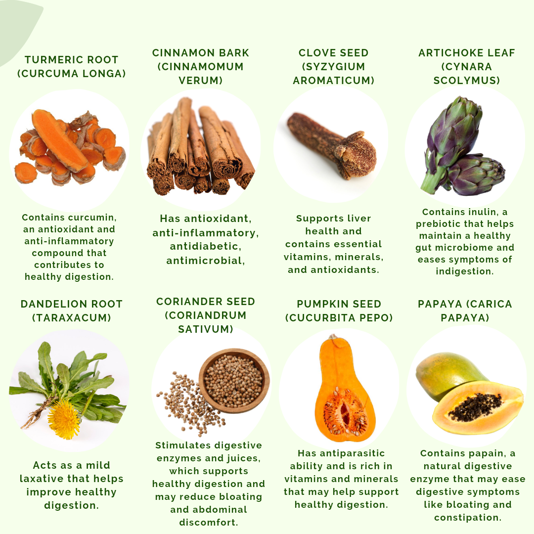 Ingredients for HPR by APLGO including turmeric root, cinnamon bark, clove seed, artichoke leaf, dandelion root, coriander seed, pumpkin seed and papaya