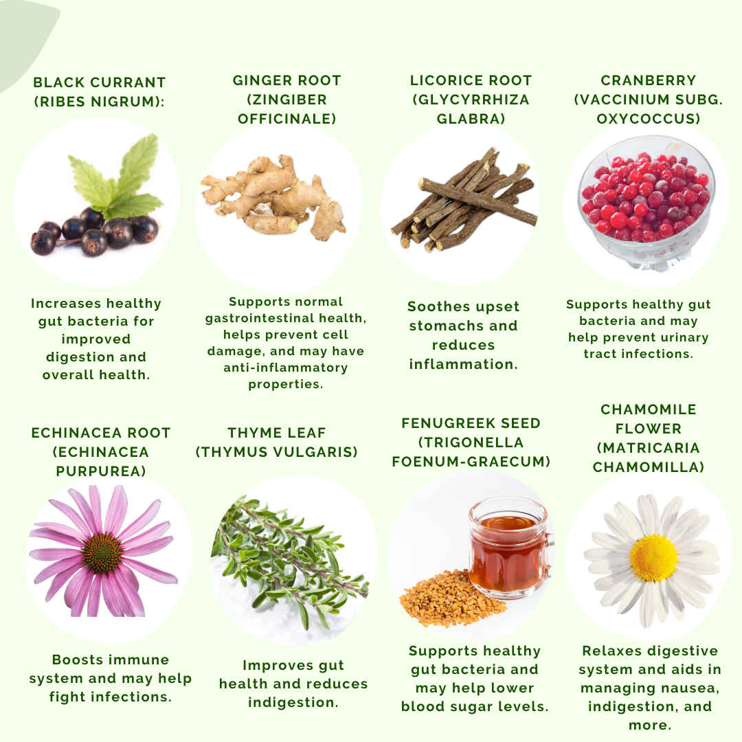More ingredients for HPR by APLGO including black currant, ginger root, licorice root, cranberry, echinacea root, thyme leaf, fenugreek seed and chamomile flower