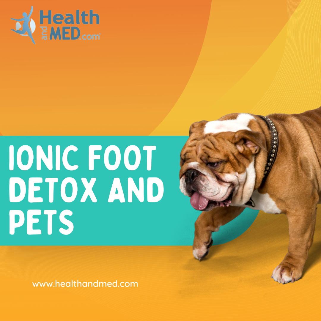 a colorful orange background with an English Bulldog with text that reads Ionic Foot Detox and Pets