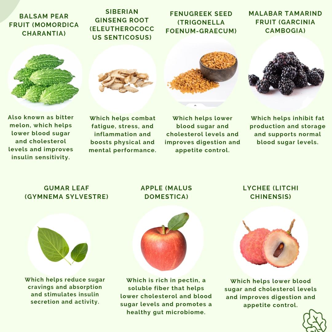 Ingredients for NRM by APLGO including Balsam Pear Fruit, Siberian Ginseng Root, Fenugreek Seed, Malabar Tamarind Fruit, Gumar Leaf, Apple and Lychee.