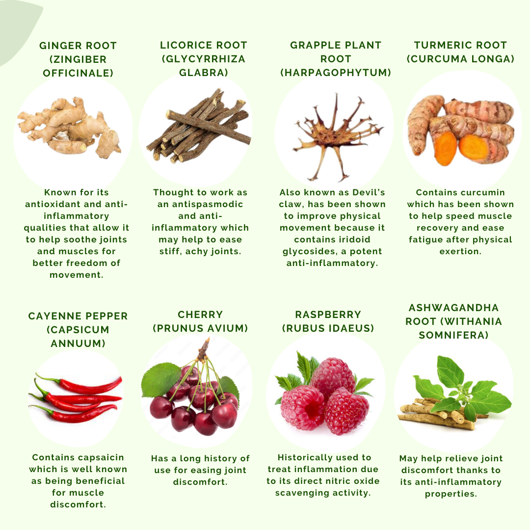 an image that shows the main ingredients of STP.  Including Cherry, Raspberry, Ashwagandha Root, Cayenne Pepper, turmeric root, grapple plant root, licorice root and ginger root