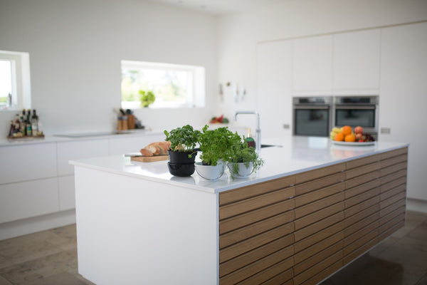 ZenQ Home Interior Design and Decor Kitchen Blog Image 3
