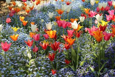 Gartentipps Gartentipps