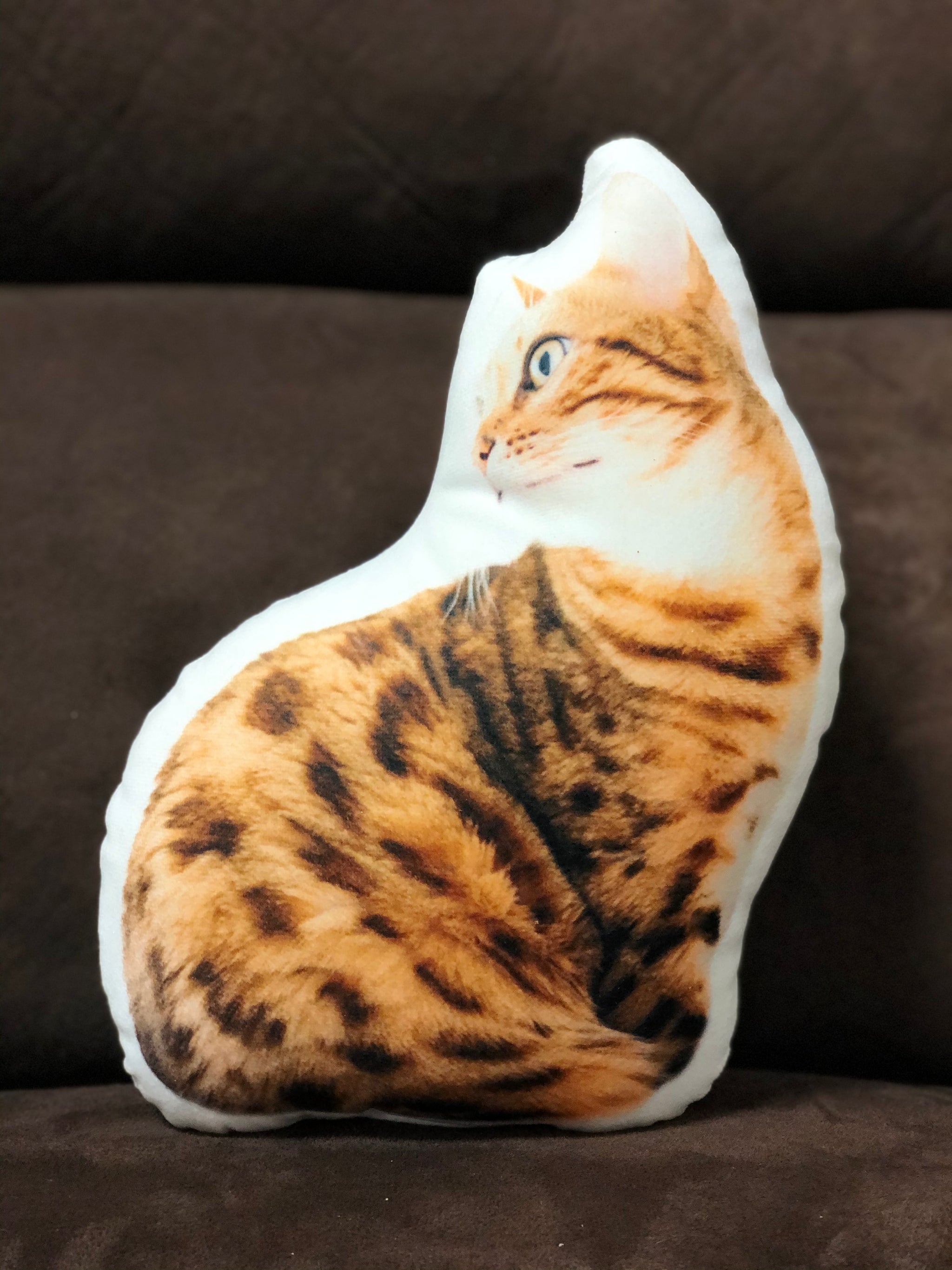 cat picture pillow