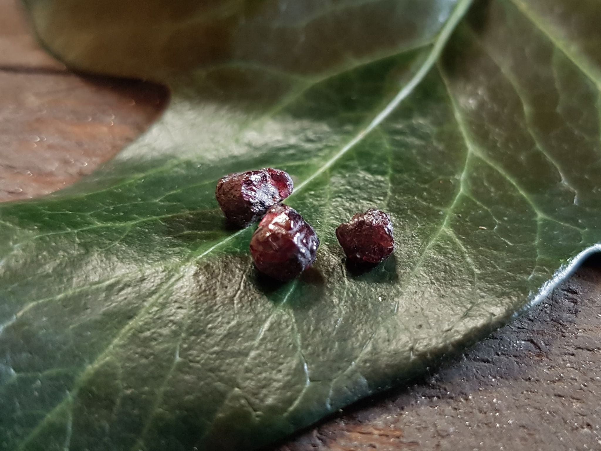 Three Thames Garnets