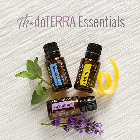 dōTERRA Trio für Anfänger 15ml