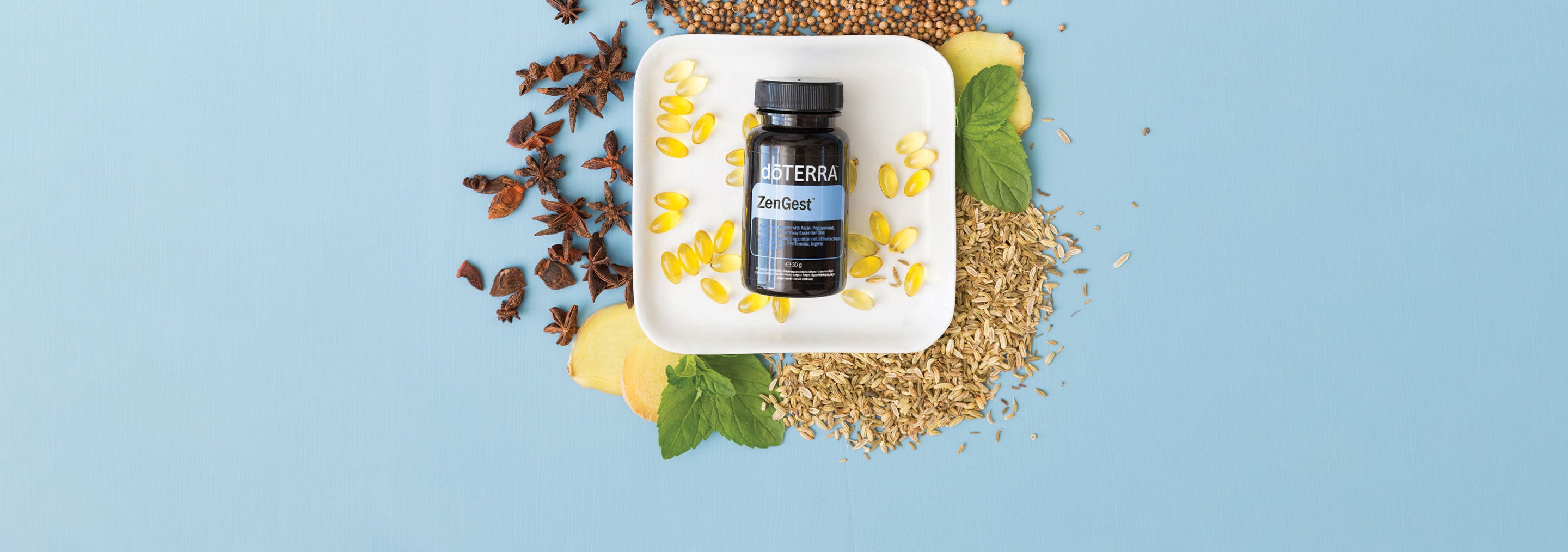 Digestão saudável evodoterra
