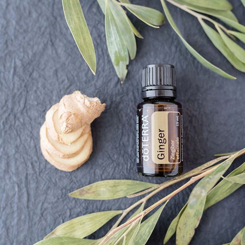 dōTERRA Ingweröl (Ginger) - 15ml