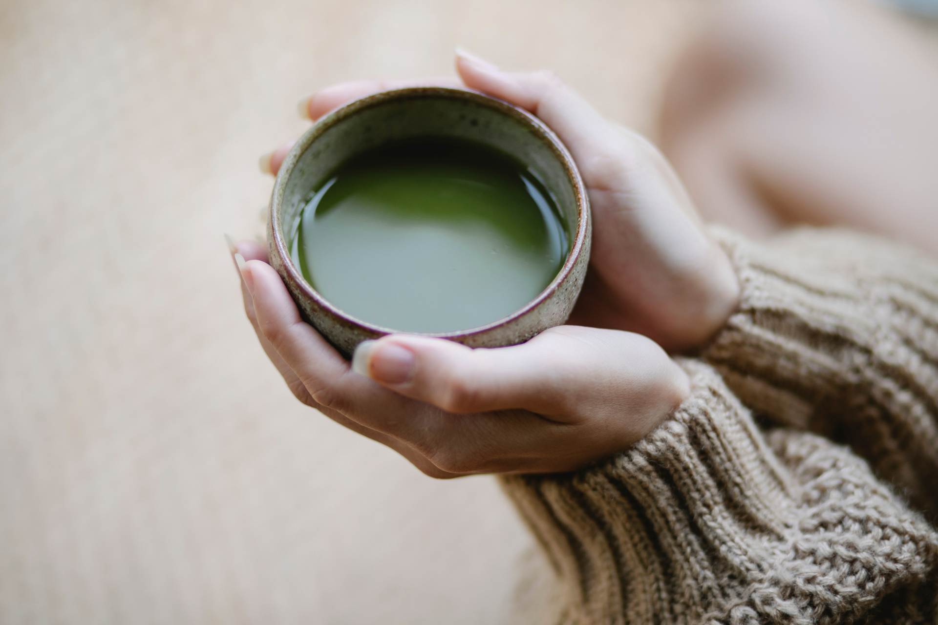 matcha: té verde en polvo