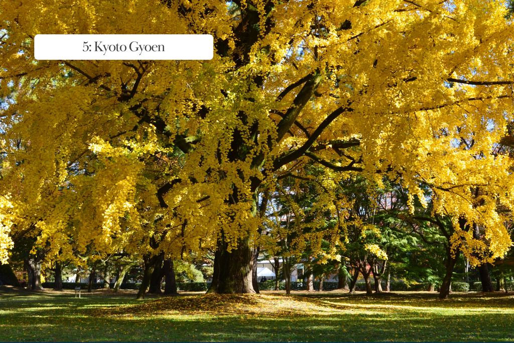 Palacio Imperial de Kioto en otoño