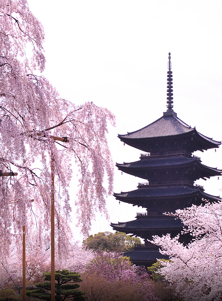 Toji-tempel