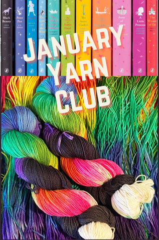 the woolly dragon hand dyed yarn club January literary adventures